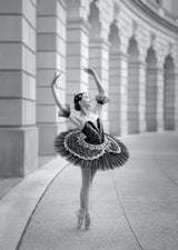 Ballerina in DC Poster och Canvastavla