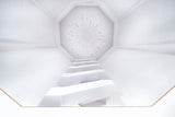 White Memorial Poster och Canvastavla