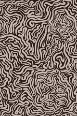 Twisted Beige Strokes Poster och Canvastavla