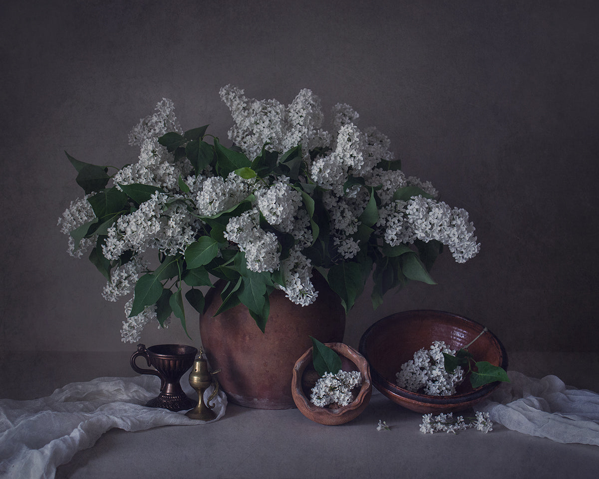 Still life with white lilac Poster och Canvastavla