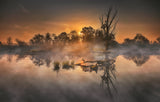 Autumn morning in lowlands Poster och Canvastavla