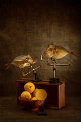 Conversation of two moon fish about the properties of lemons Poster och Canvastavla