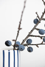 Berries Blue Poster och Canvastavla