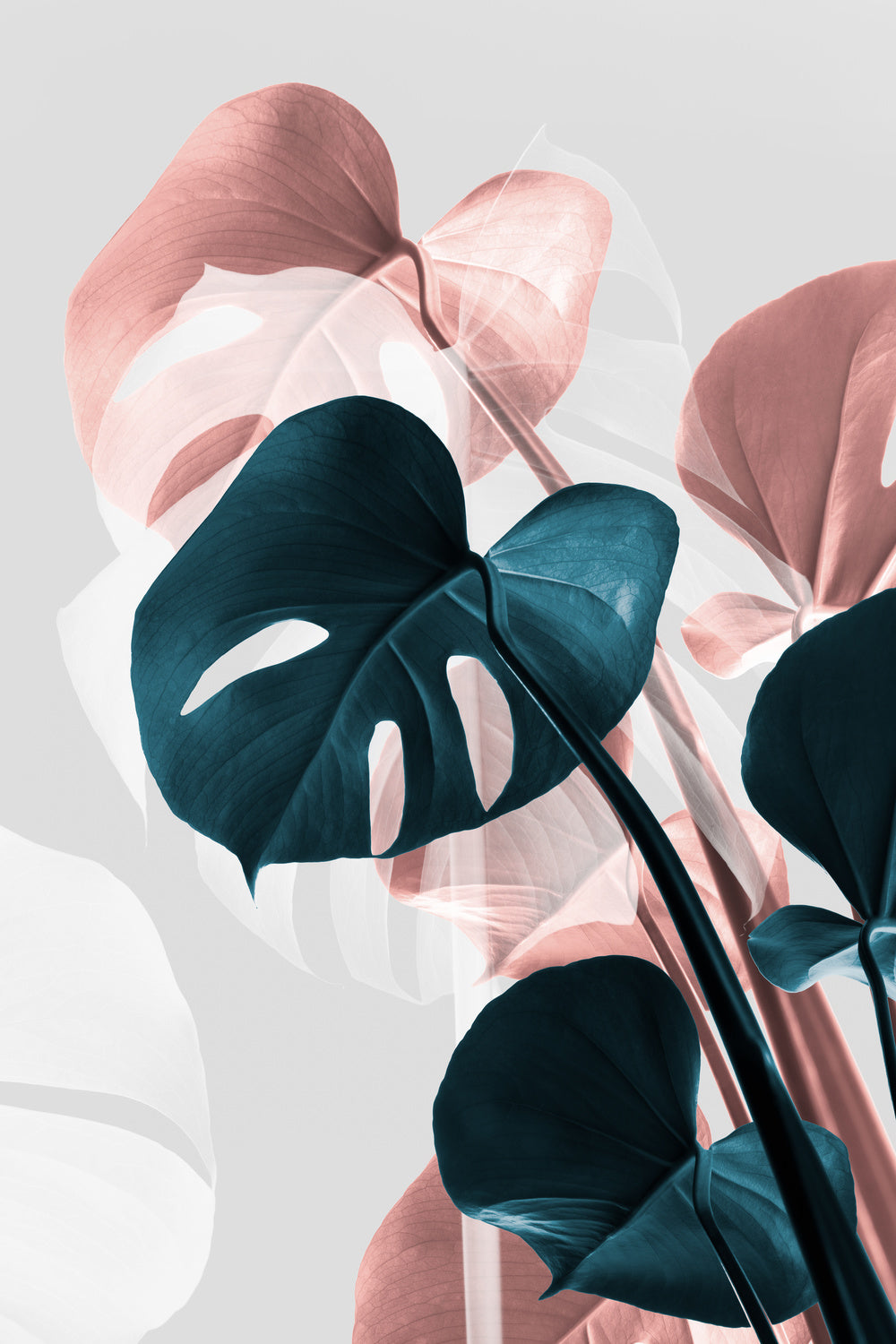 Monstera Creative 17 Poster och Canvastavla