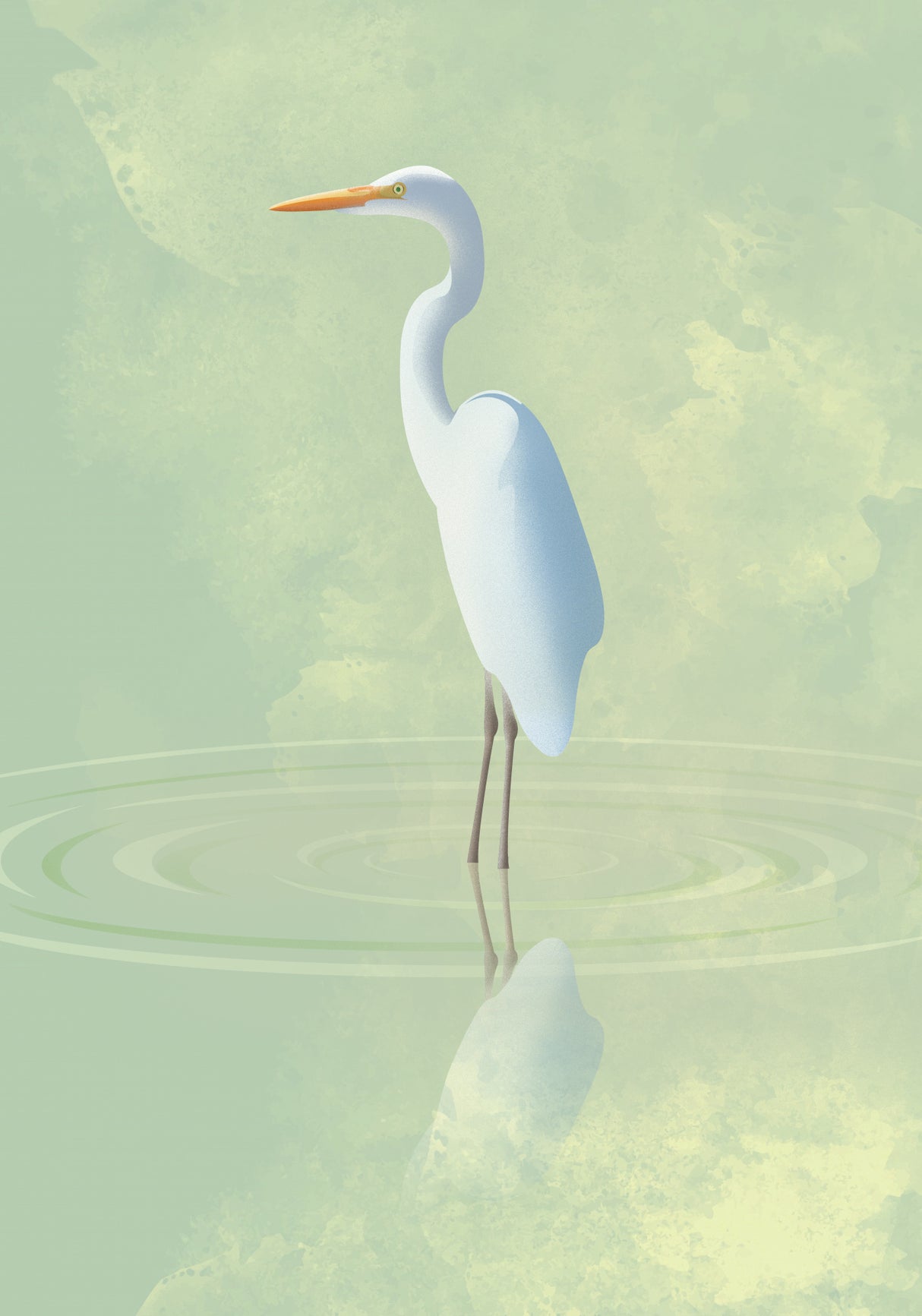 Heron Poster och Canvastavla
