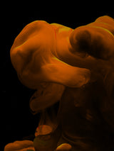 ink in water Poster och Canvastavla