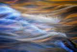 Autumn wave Poster och Canvastavla