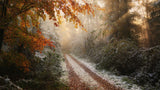 Frosty Fall Poster och Canvastavla