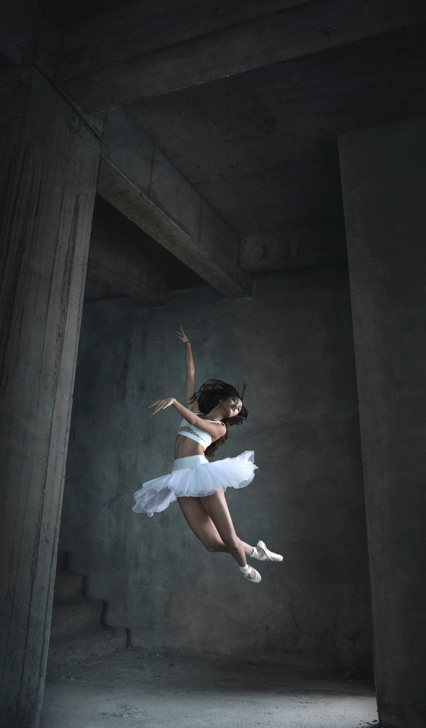 Flying Dance Poster och Canvastavla