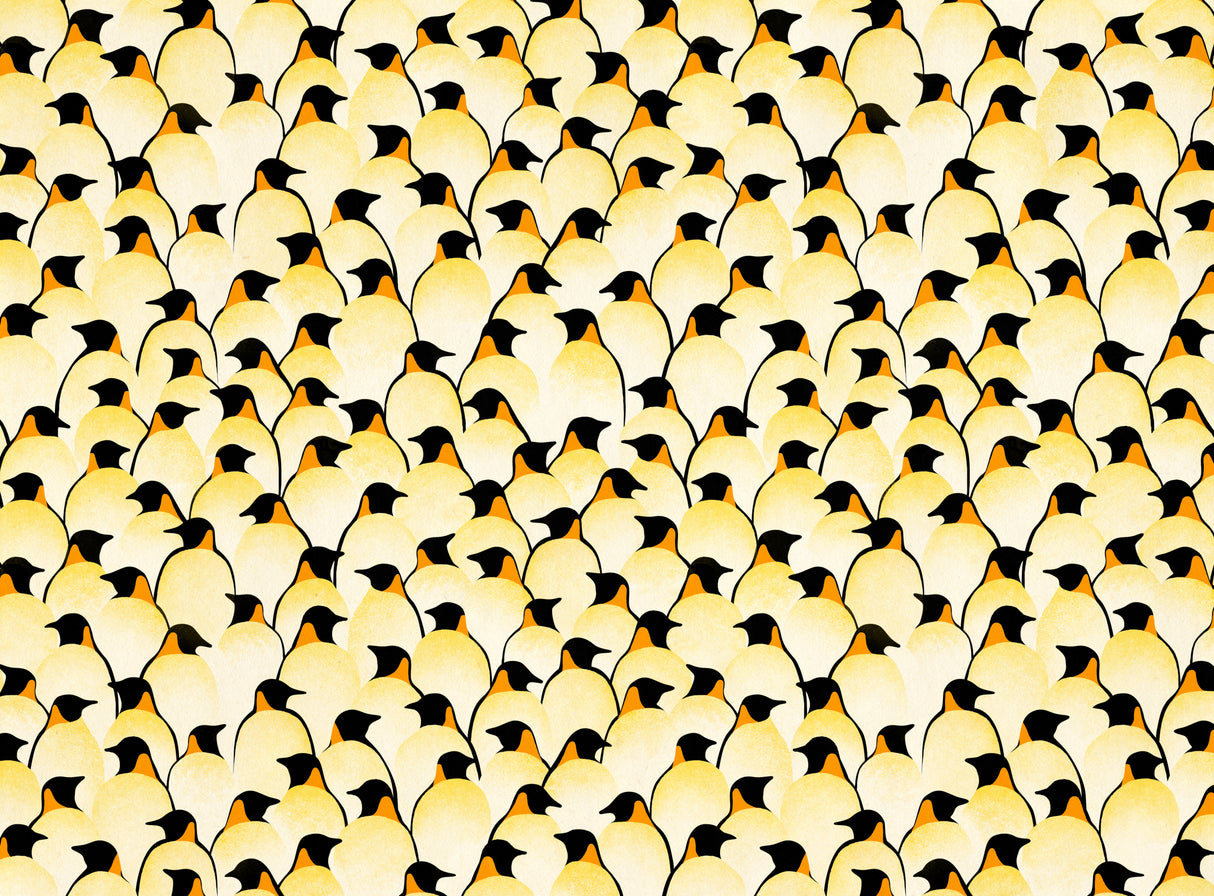 Penguins Poster och Canvastavla