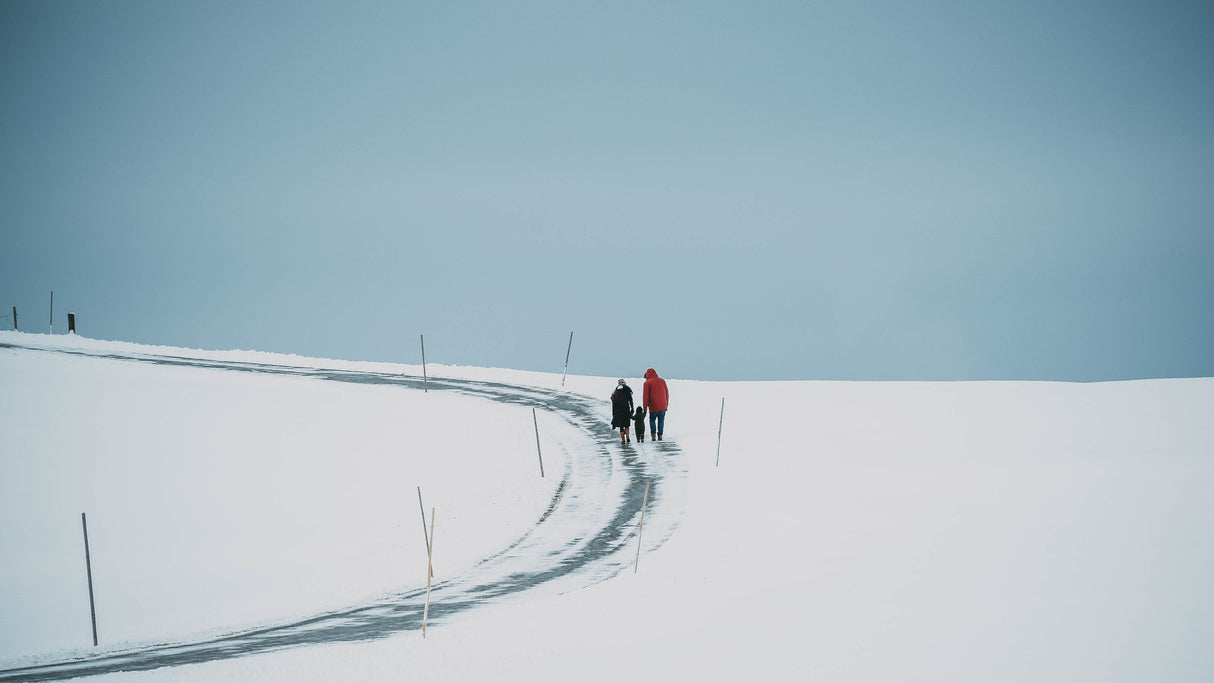 winter walk Poster och Canvastavla