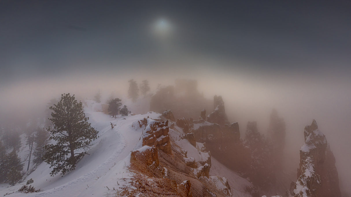 Foggy Snowy Morning Poster och Canvastavla