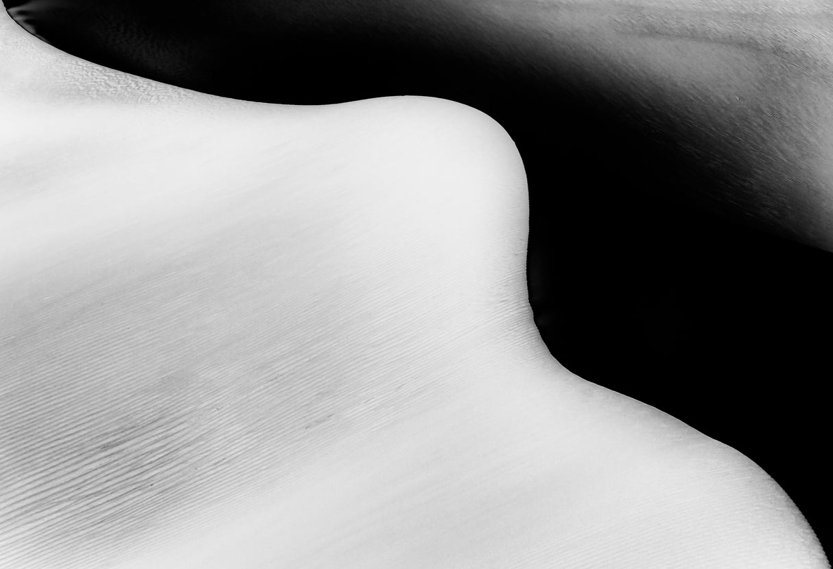 Desert Arc Poster och Canvastavla
