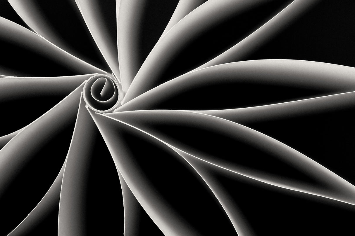 Curves Poster och Canvastavla