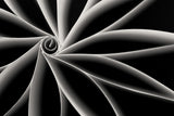 Curves Poster och Canvastavla