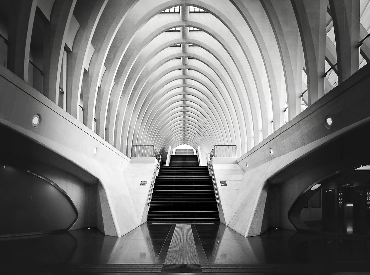 Station-2 Poster och Canvastavla