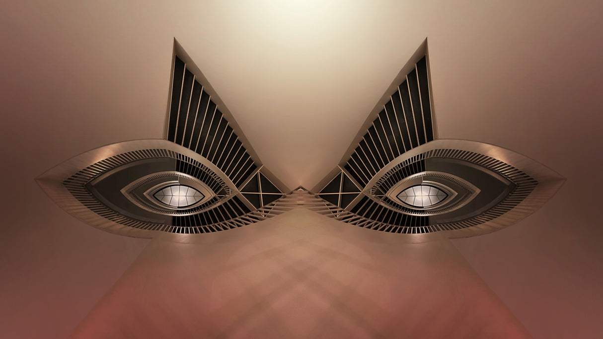 Eyes Poster och Canvastavla