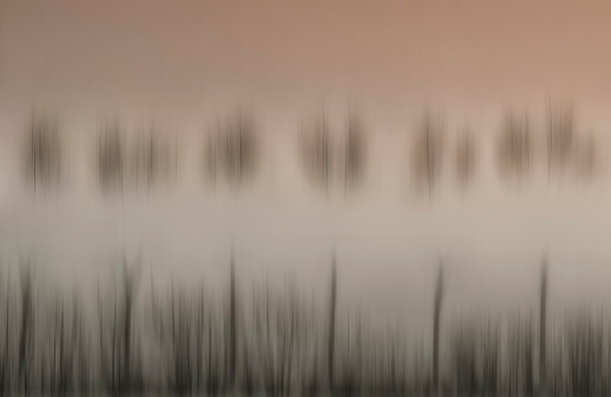 The magic of a foggy morning Poster och Canvastavla