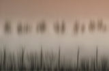 The magic of a foggy morning Poster och Canvastavla