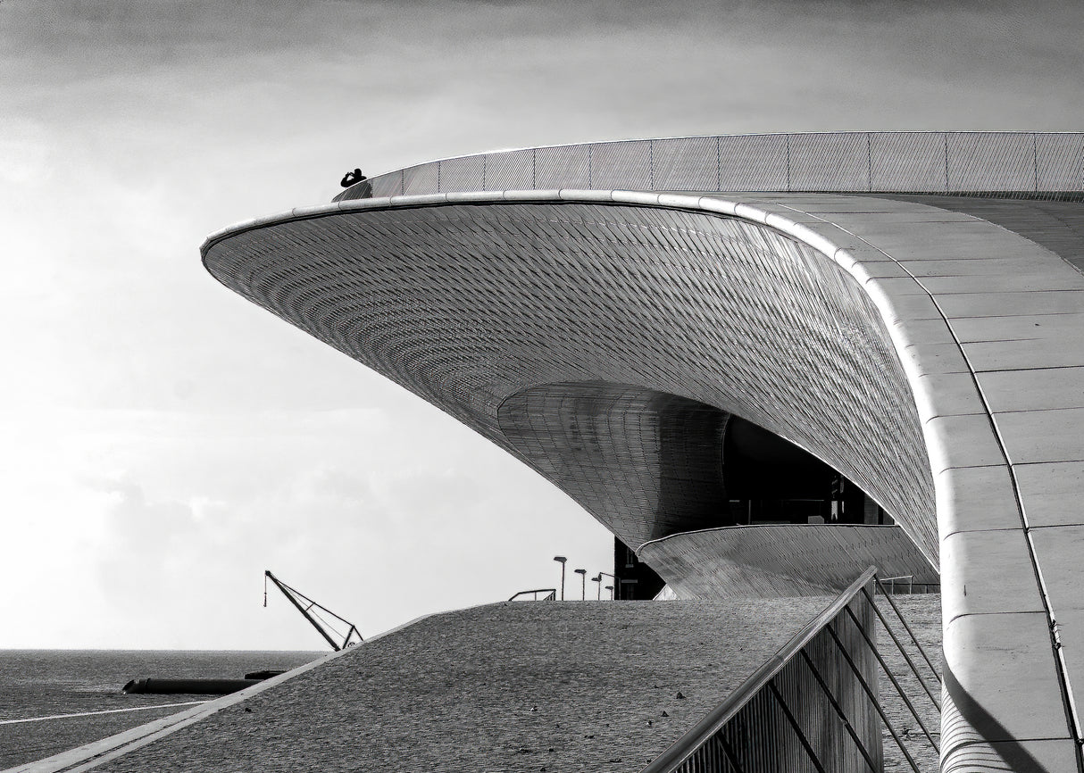 Curves Poster och Canvastavla