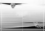 Black or White Poster och Canvastavla