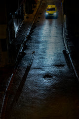 The cat at night Poster och Canvastavla