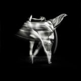 BALLERINA Poster och Canvastavla