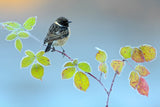 Winter day Poster och Canvastavla