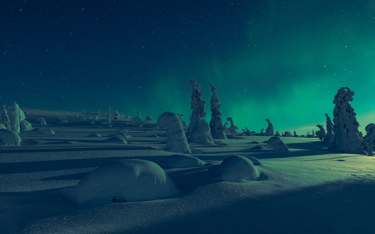 When moonlight meet polar lights Poster och Canvastavla