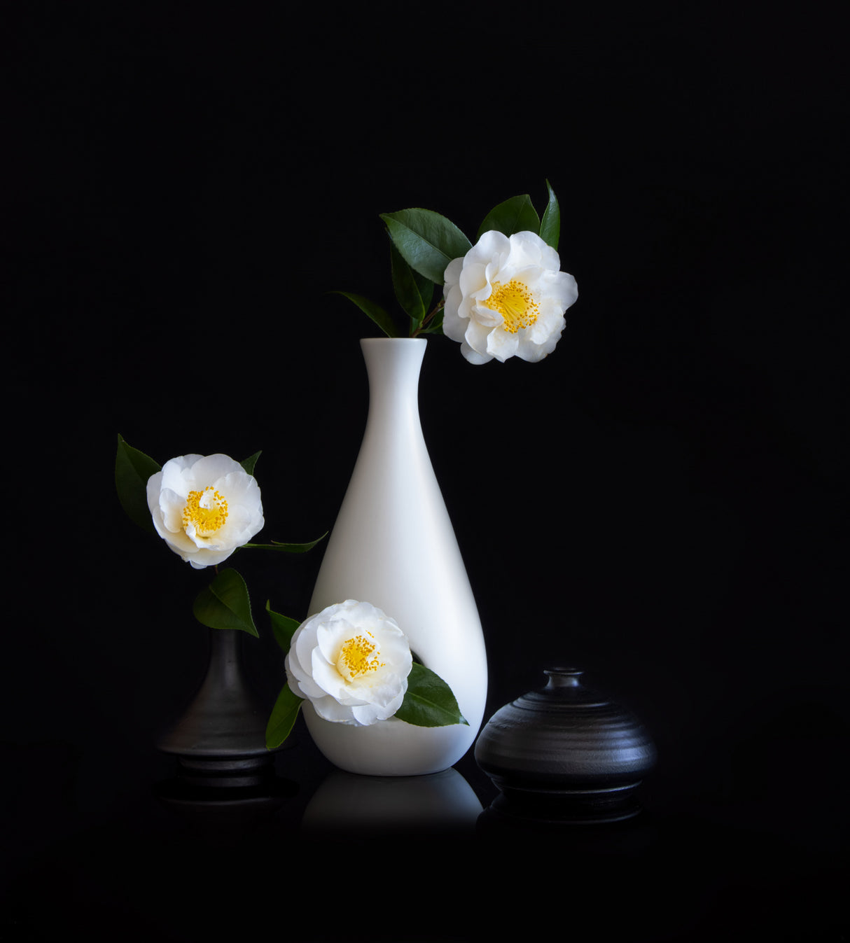 White camellia Poster och Canvastavla
