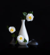 White camellia Poster och Canvastavla