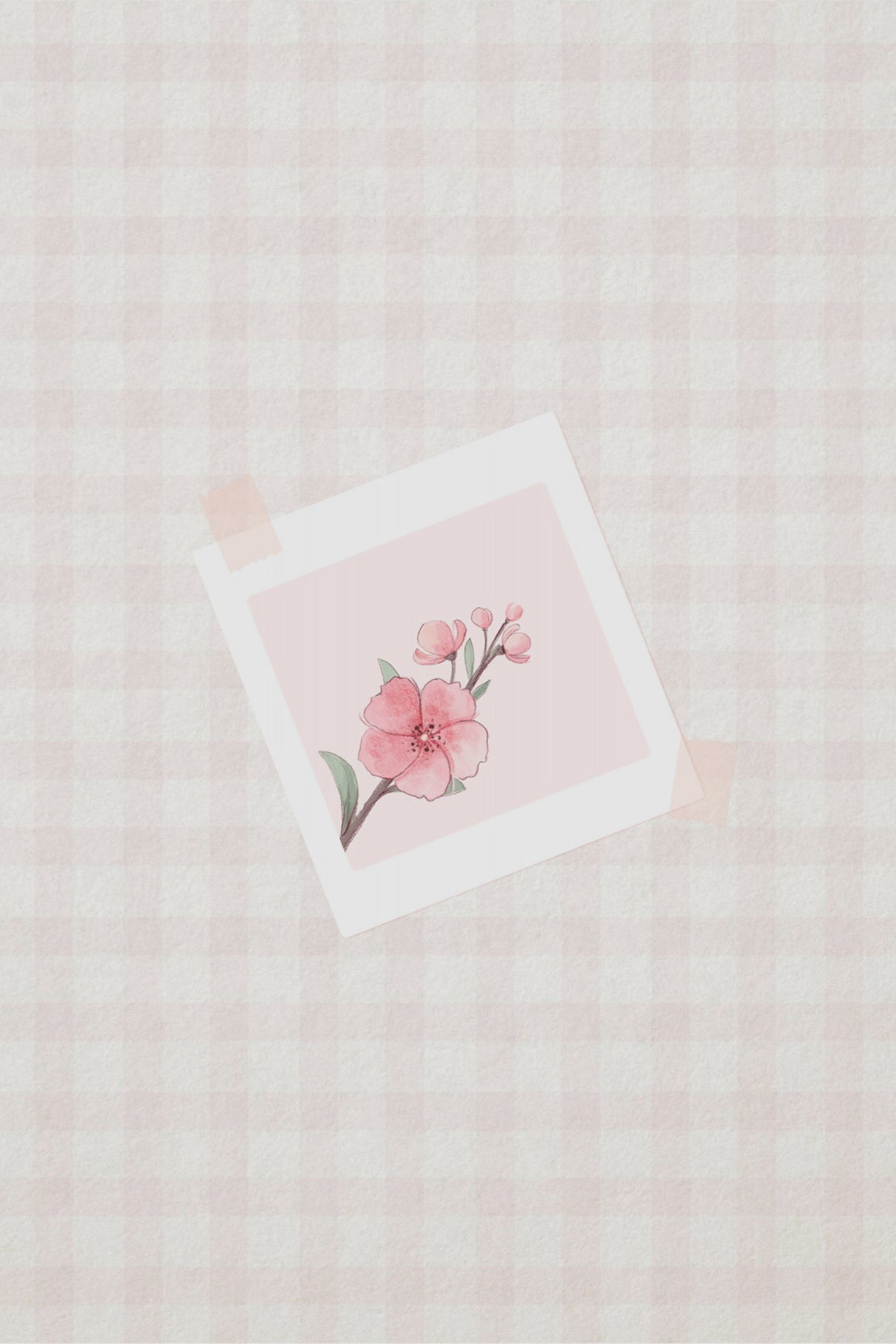 Pink Cherry Blossom Poster och Canvastavla