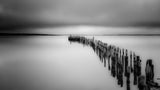 Old Wooden Bridge Piles Poster och Canvastavla