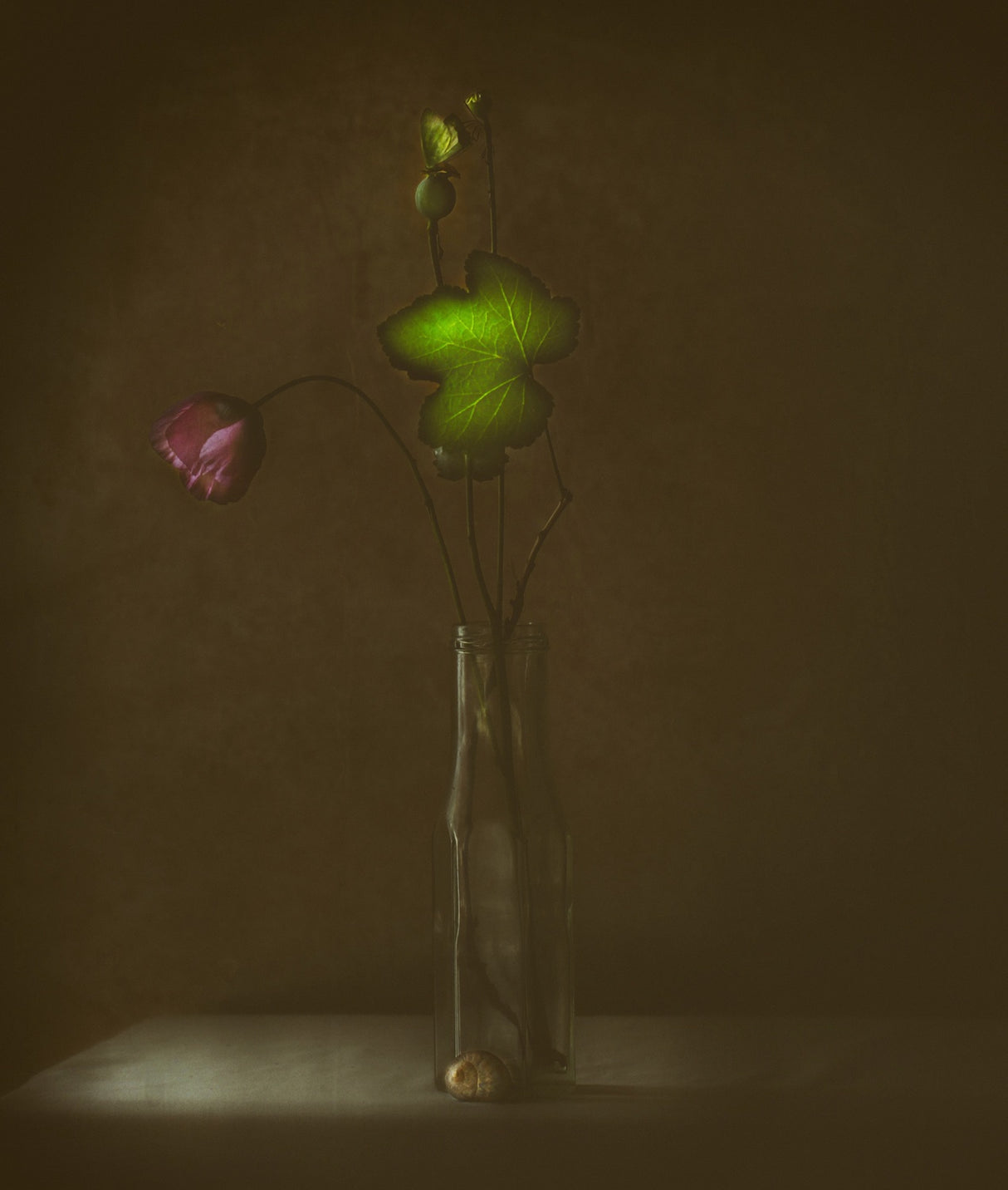 The Green Leaf Poster och Canvastavla