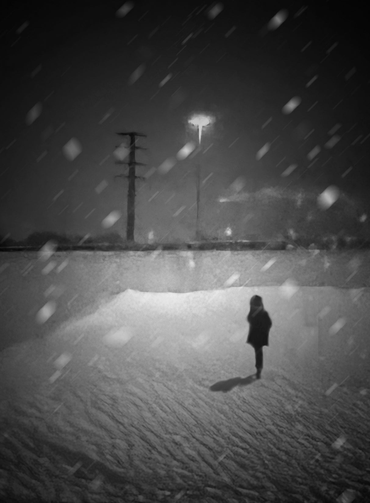 A snowy evening Poster och Canvastavla