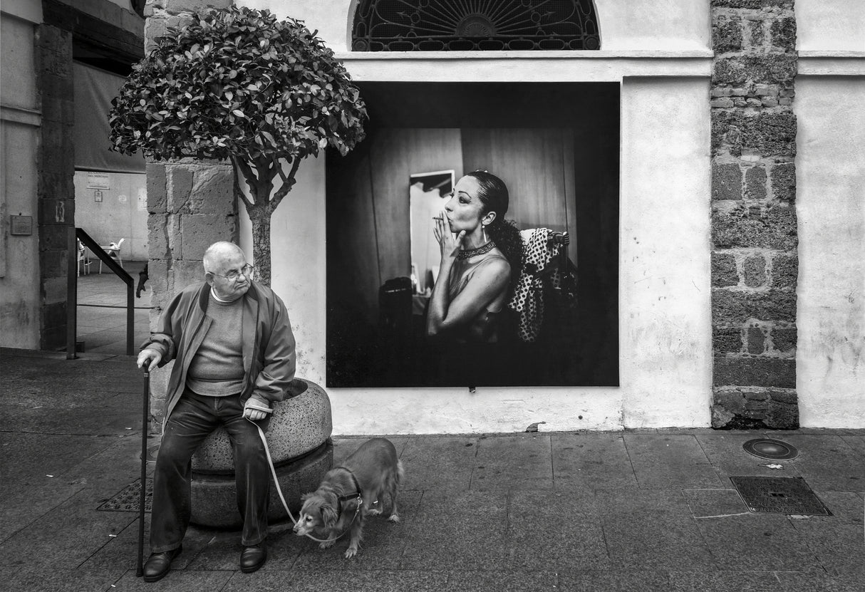Un hombre y su perro Poster och Canvastavla