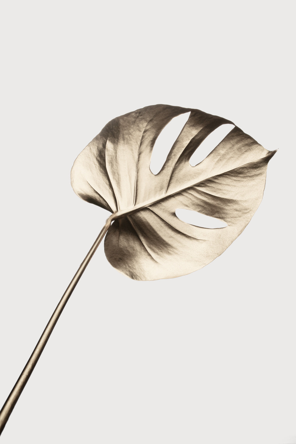 Monstera Gold 07 Poster och Canvastavla