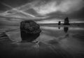 Low Tide in Twilight Poster och Canvastavla