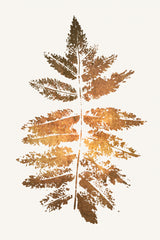 Oak Leaf Print (gold) Poster och Canvastavla