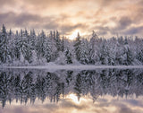 Winters reflection Poster och Canvastavla