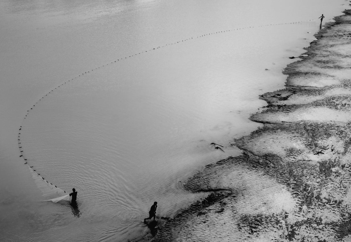 Fishing. Poster och Canvastavla