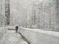 Snowy day Poster och Canvastavla