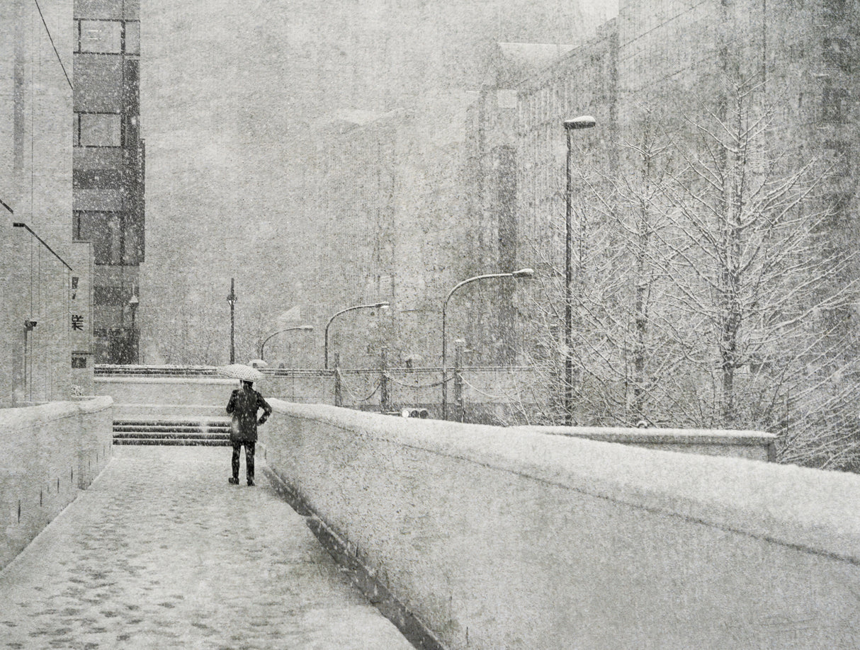 Snowy day Poster och Canvastavla