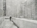 Snowy day Poster och Canvastavla