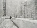 Snowy day Poster och Canvastavla