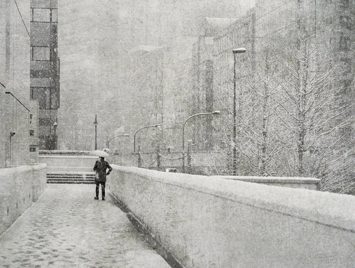 Snowy day Poster och Canvastavla