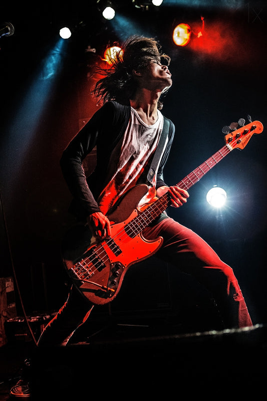 Bass Player Poster och Canvastavla