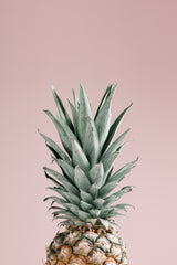 Pineapple Pink 01 Poster och Canvastavla