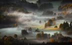 Autumn Poster och Canvastavla