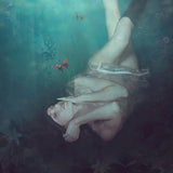 Make a wish... Poster och Canvastavla